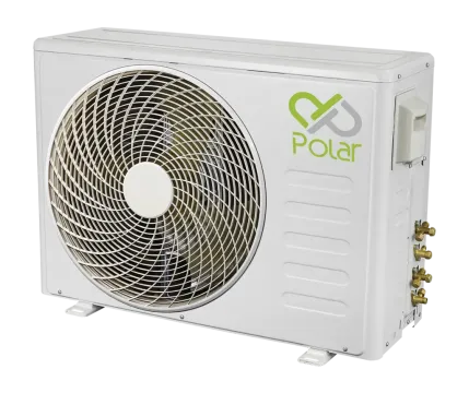 Polar-1-to-204072024120319897797-1024x859